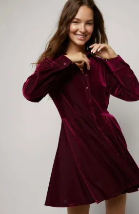 Ruby Velvet Dress